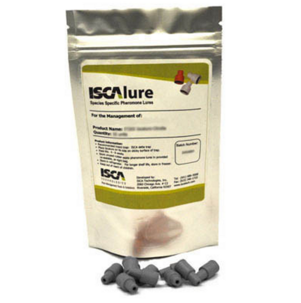 Indian Meal Moth (Pantry Moth) - IT054 - ISCA Technologies