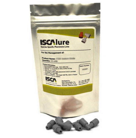 Indian Meal Moth (Pantry Moth) - IT054 - ISCA Technologies