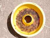 ISCA Ball Trap (BTR) - ISCA Technologies
- 5