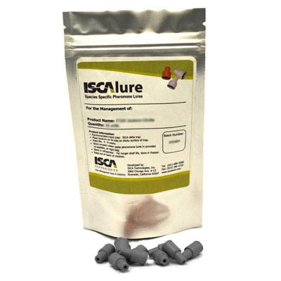 Citrus leafminer - IT203 - ISCA Technologies
 - 1